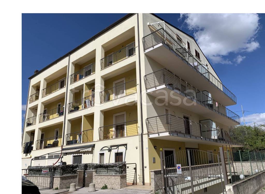 immagine annuncio 6 di 12