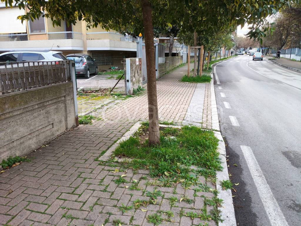 immagine annuncio 5 di 6