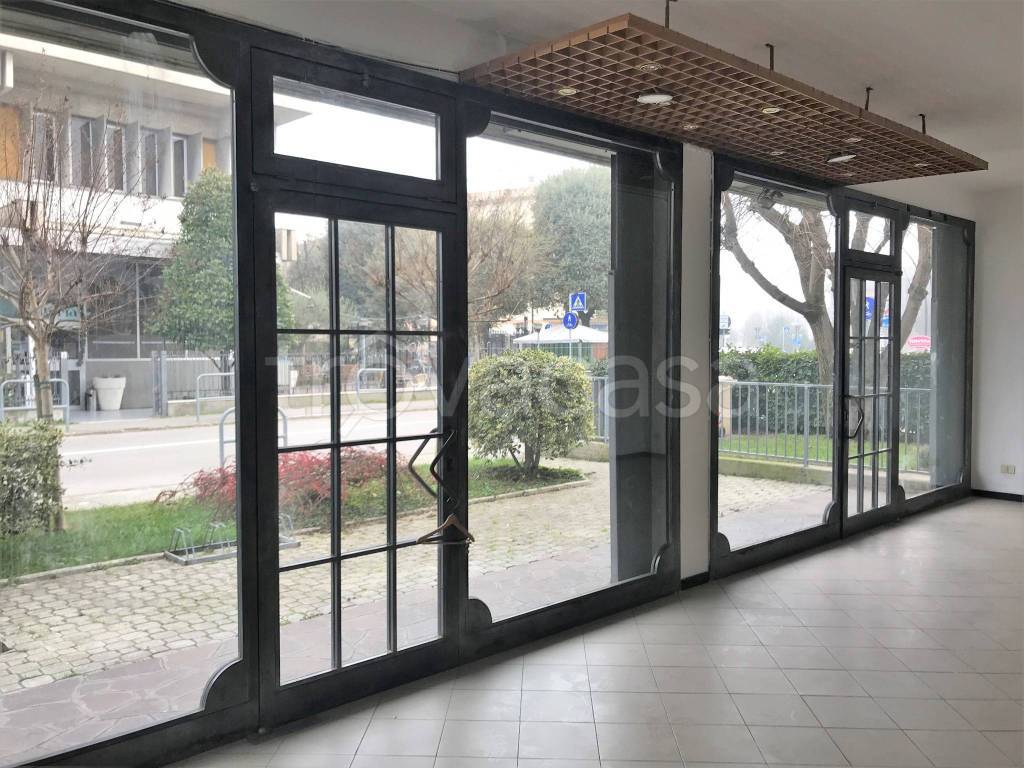 immagine annuncio 5 di 12