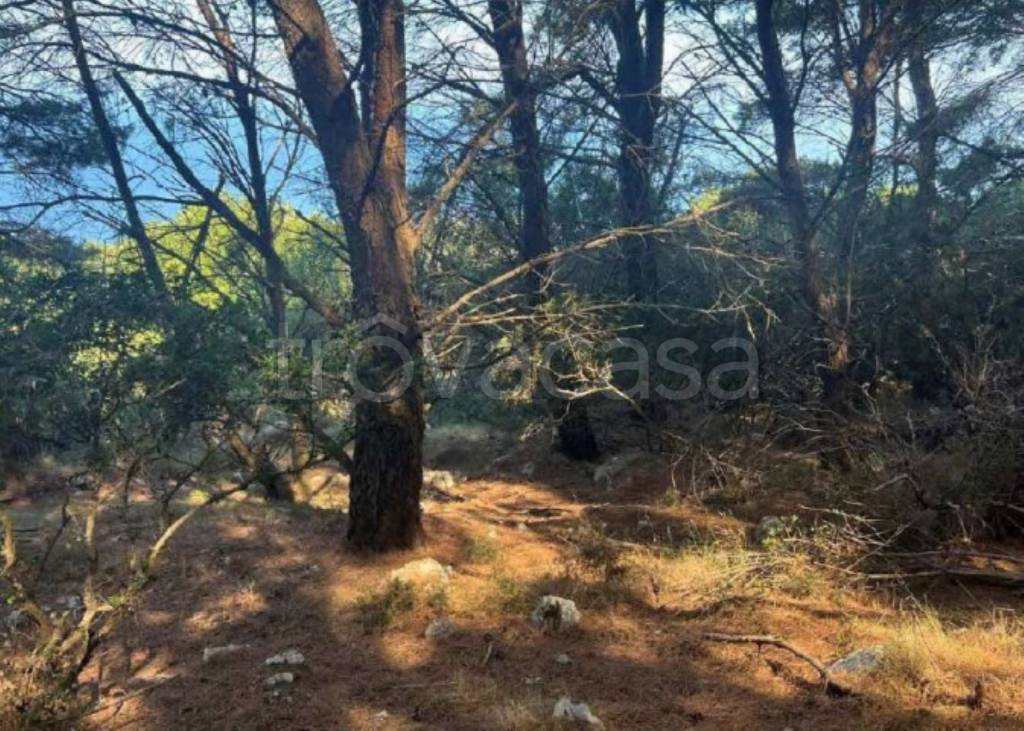 immagine annuncio 7 di 9