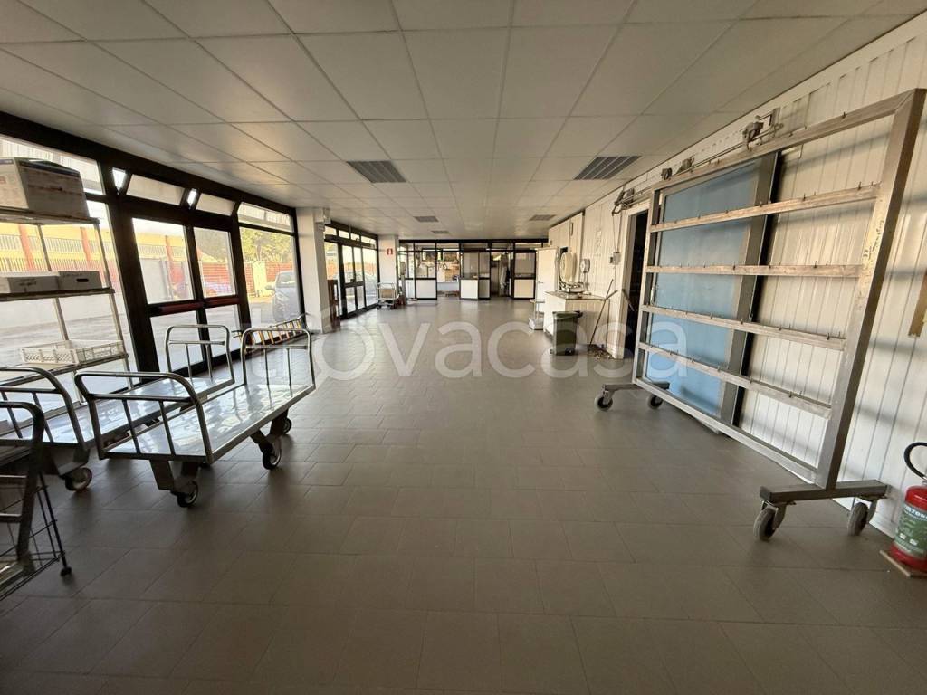 immagine annuncio 2 di 11