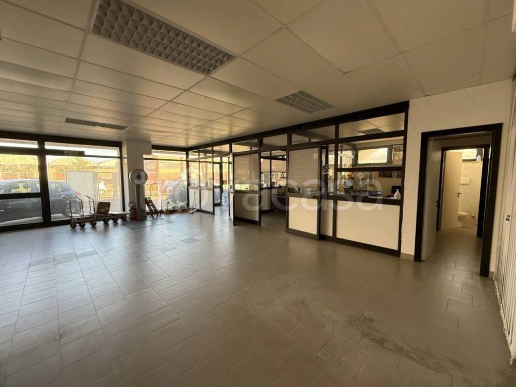 immagine annuncio 3 di 11