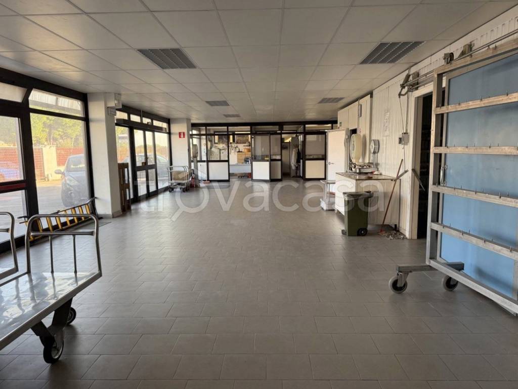 immagine annuncio 4 di 11