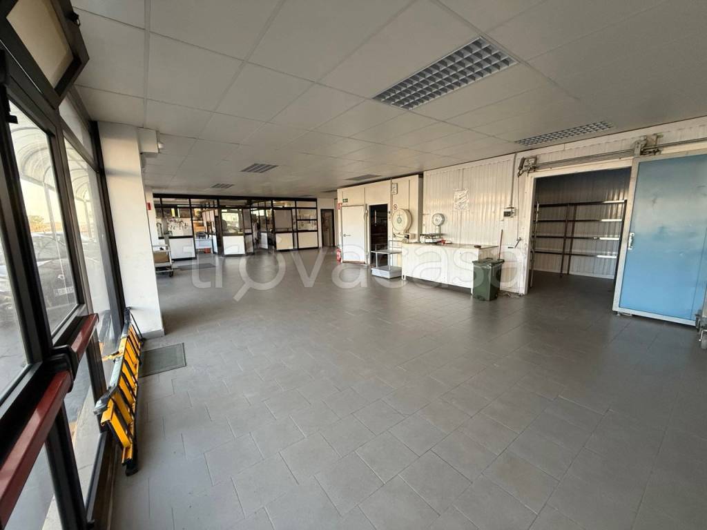 immagine annuncio 5 di 11