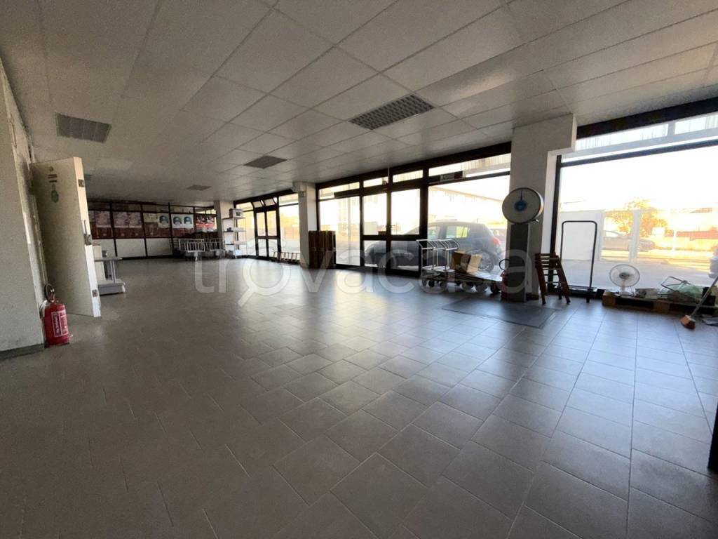 immagine annuncio 6 di 11