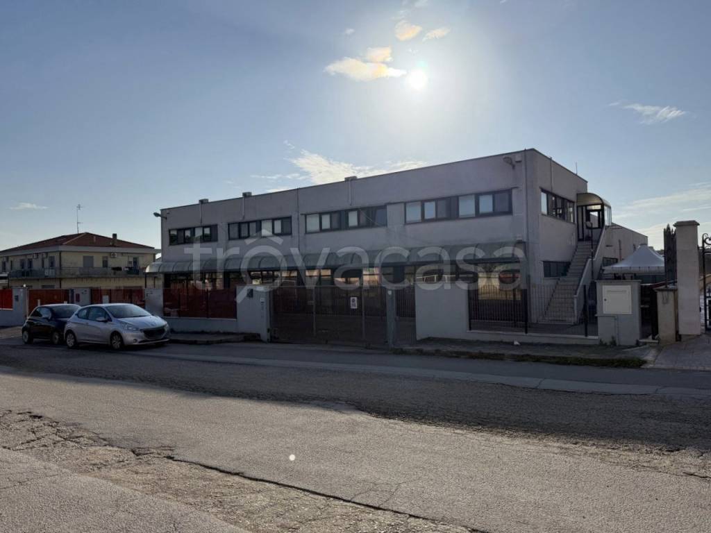 immagine annuncio 7 di 11