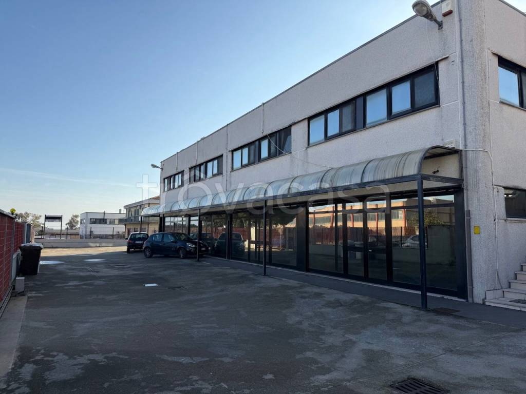 immagine annuncio 10 di 11