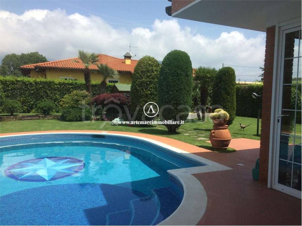 immagine annuncio 4 di 8