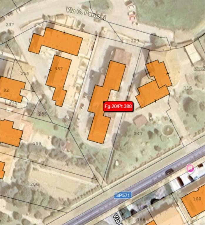 immagine annuncio 11 di 15