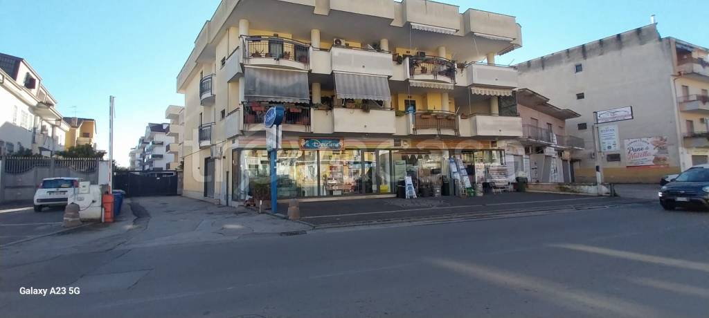 immagine annuncio 5 di 11