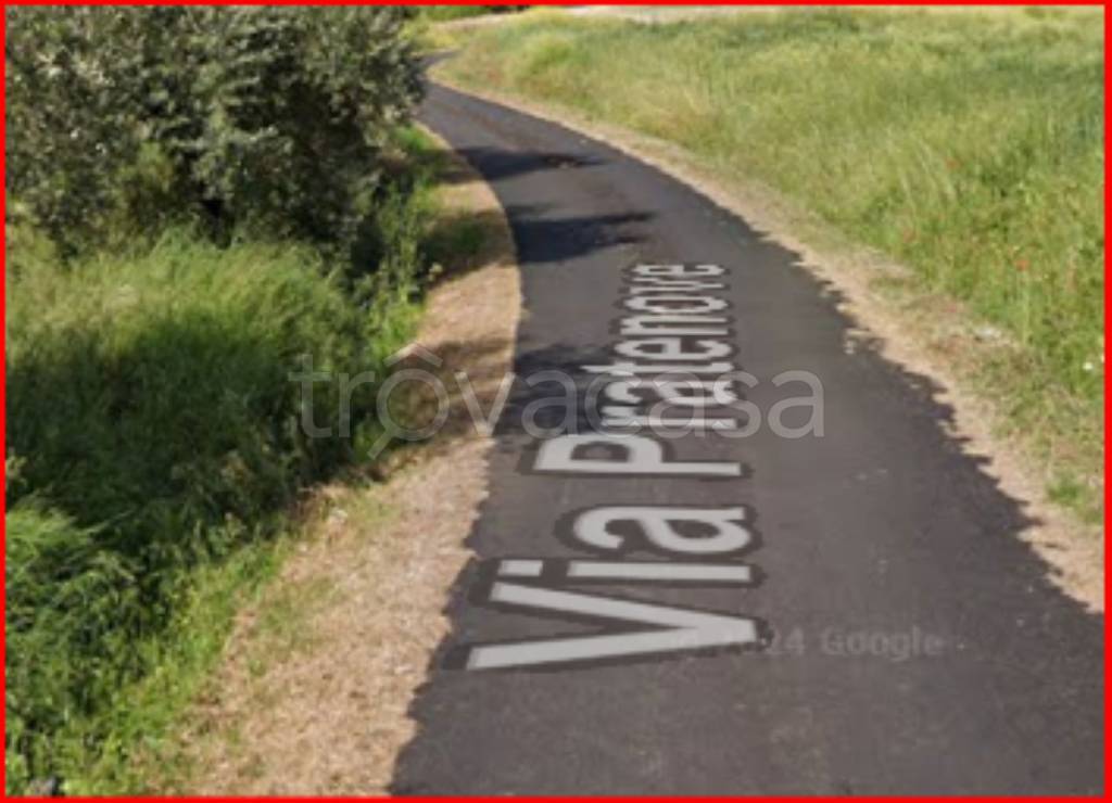 immagine annuncio 3 di 12