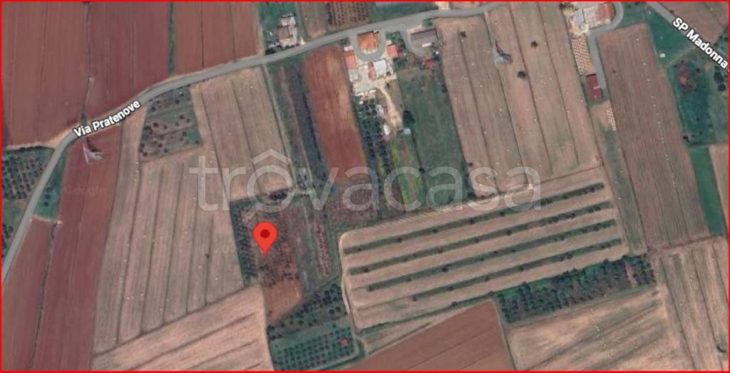 immagine annuncio 11 di 12