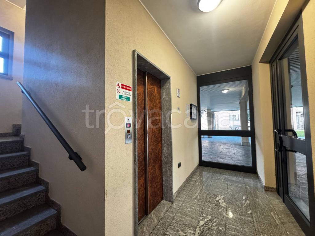 immagine annuncio 3 di 14