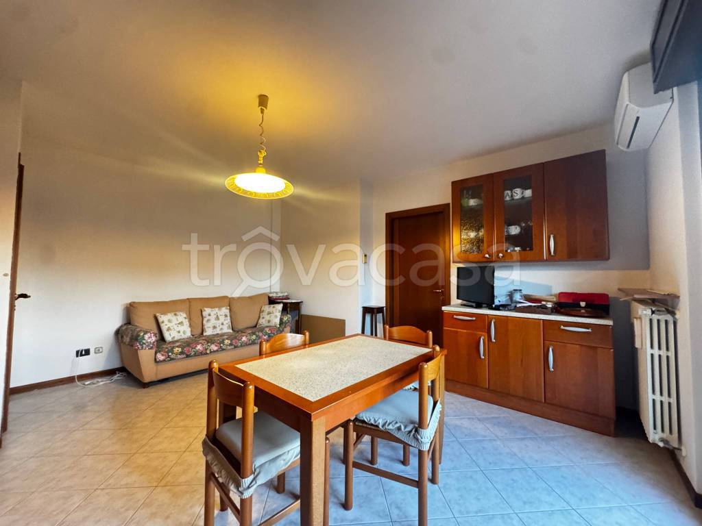 immagine annuncio 4 di 14