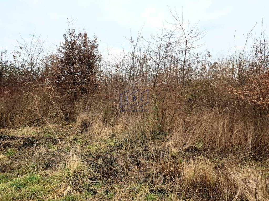 immagine annuncio 4 di 6