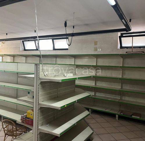 immagine annuncio 4 di 6