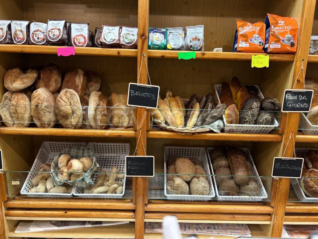 immagine annuncio 2 di 14