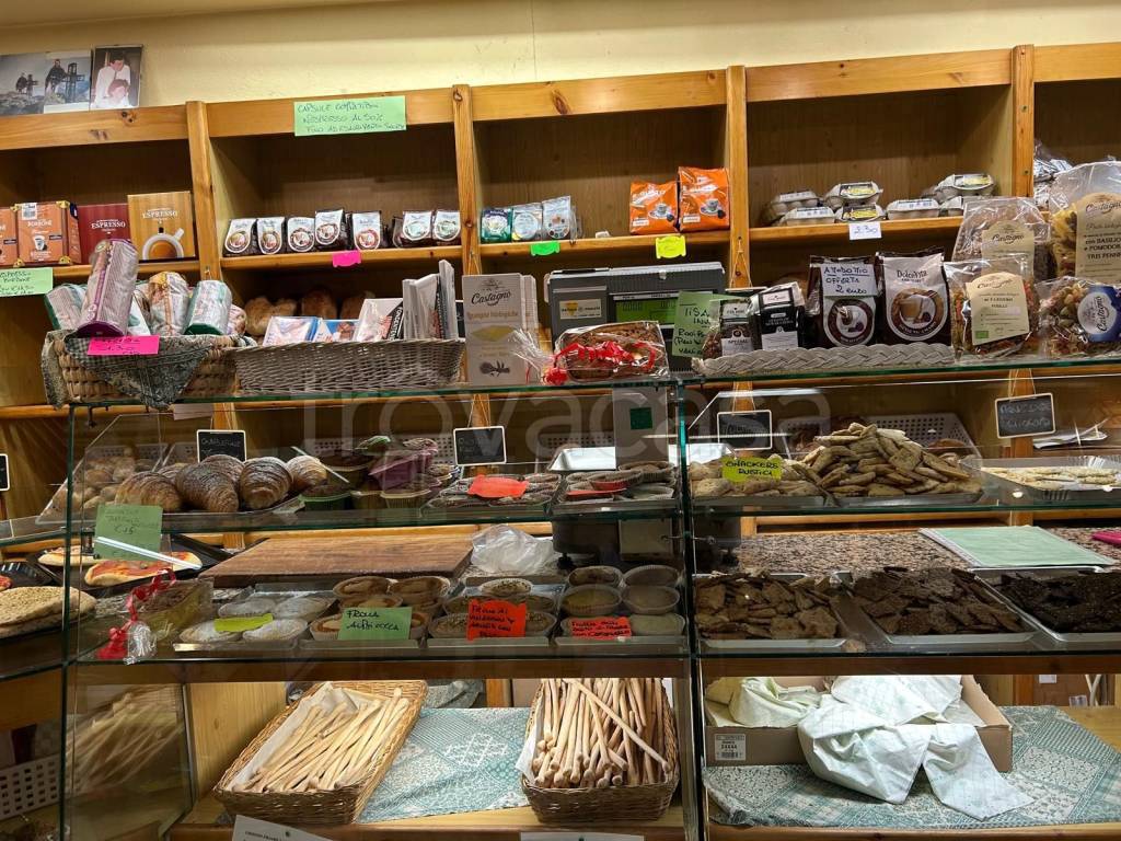 immagine annuncio 3 di 14