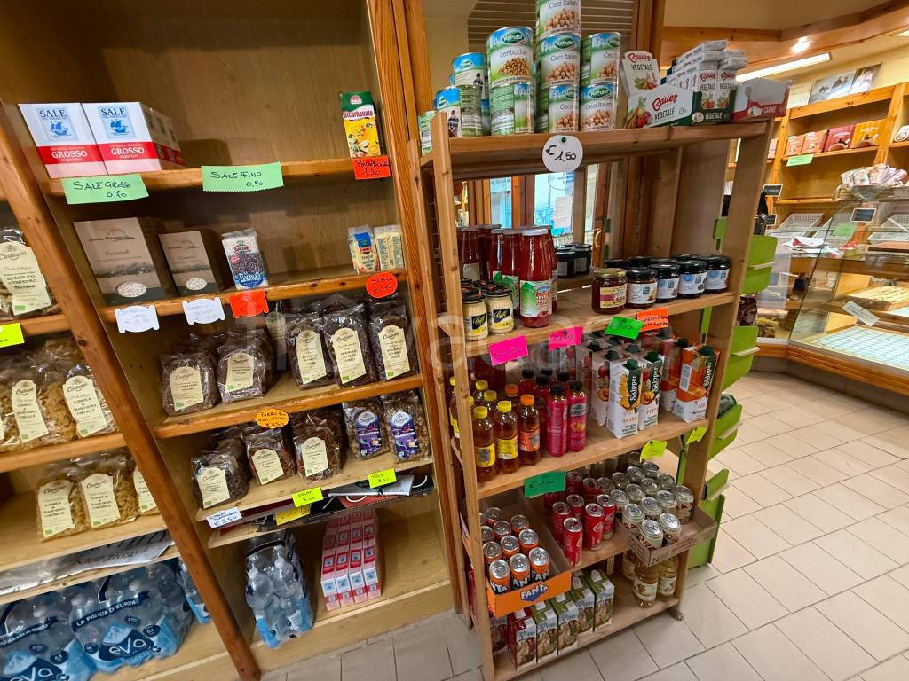 immagine annuncio 4 di 14