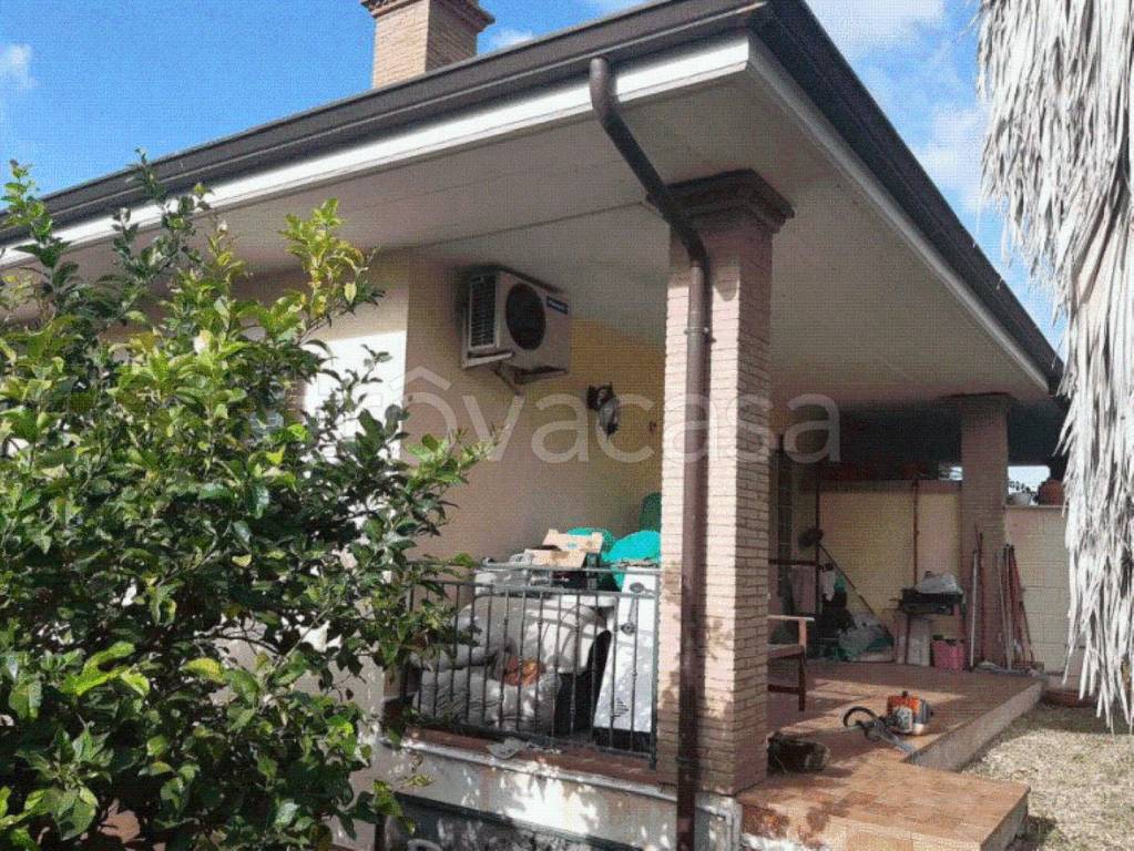 immagine annuncio 3 di 11