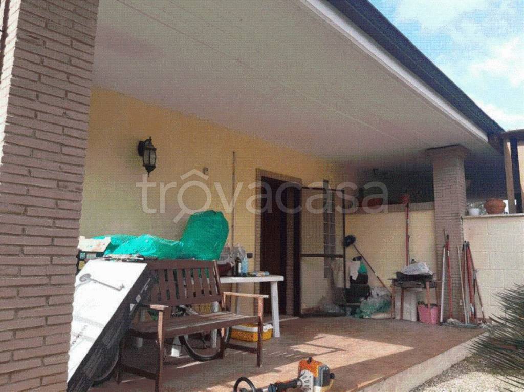 immagine annuncio 5 di 11