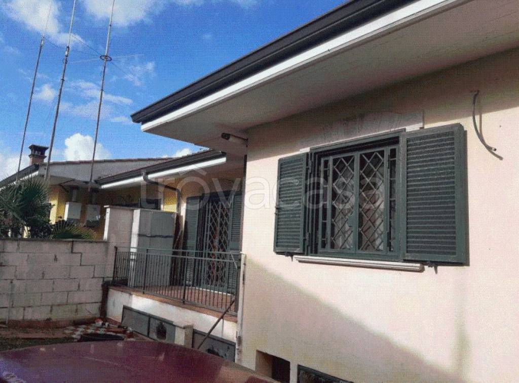 immagine annuncio 9 di 11