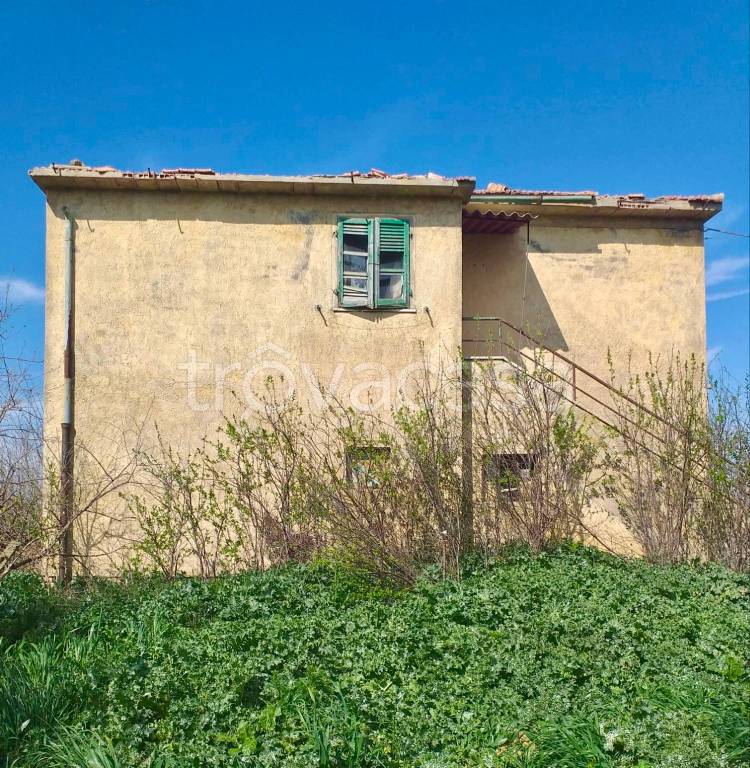 immagine annuncio 2 di 6