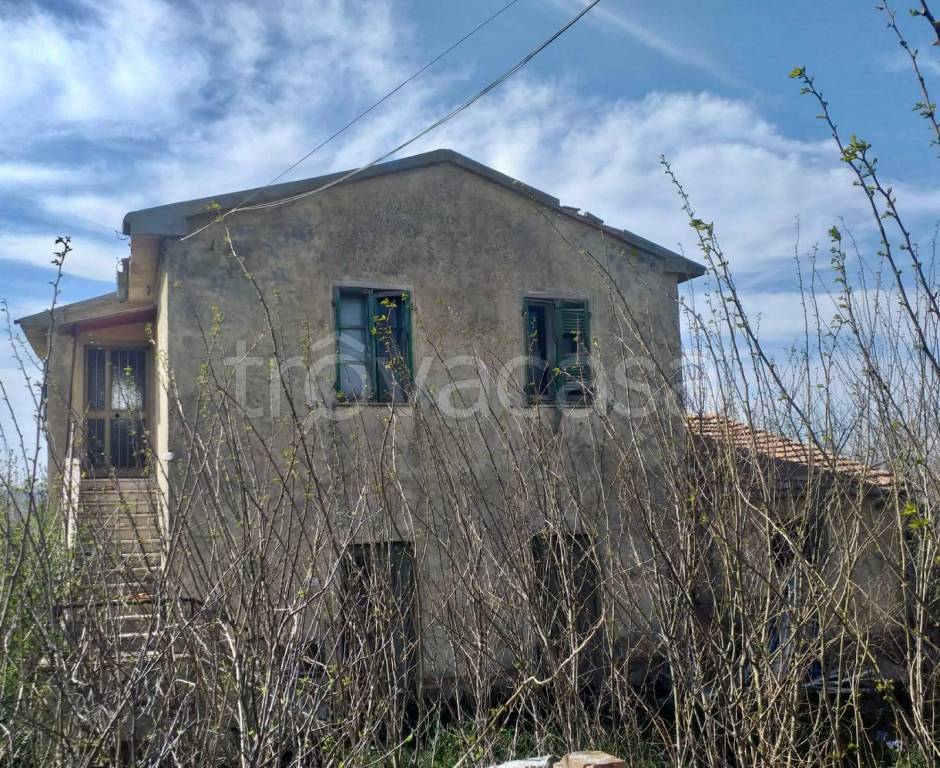 immagine annuncio 3 di 6