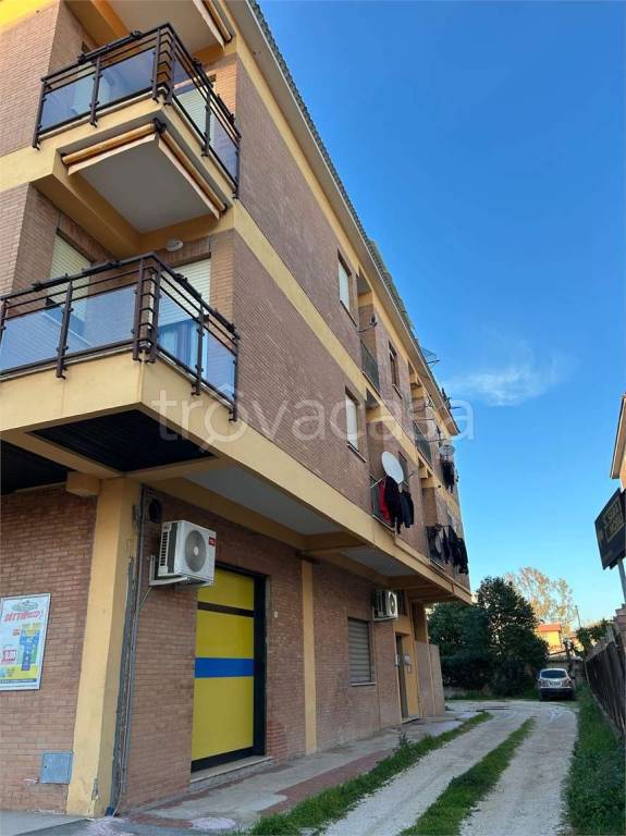 immagine annuncio 1 di 7