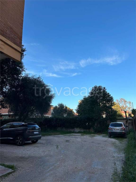 immagine annuncio 4 di 7