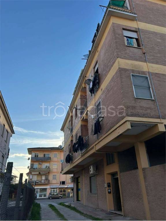 immagine annuncio 5 di 7