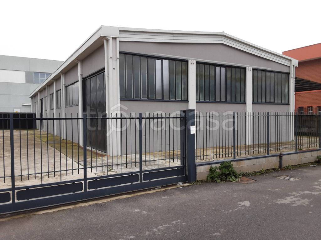 immagine annuncio 1 di 15