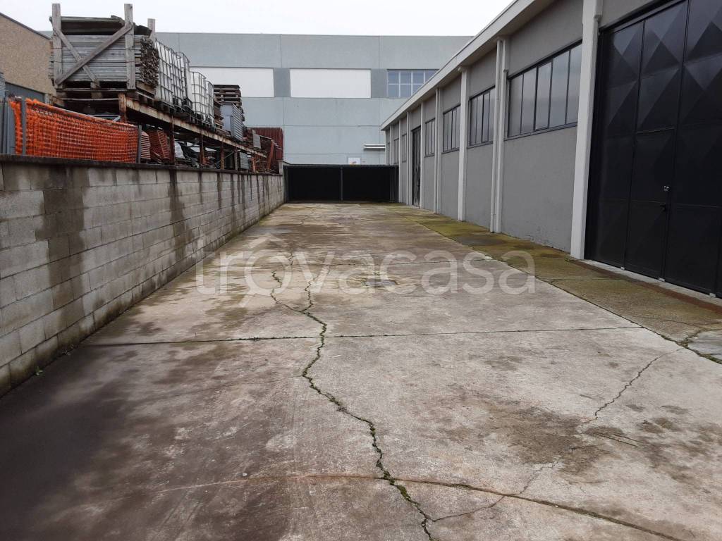 immagine annuncio 2 di 15