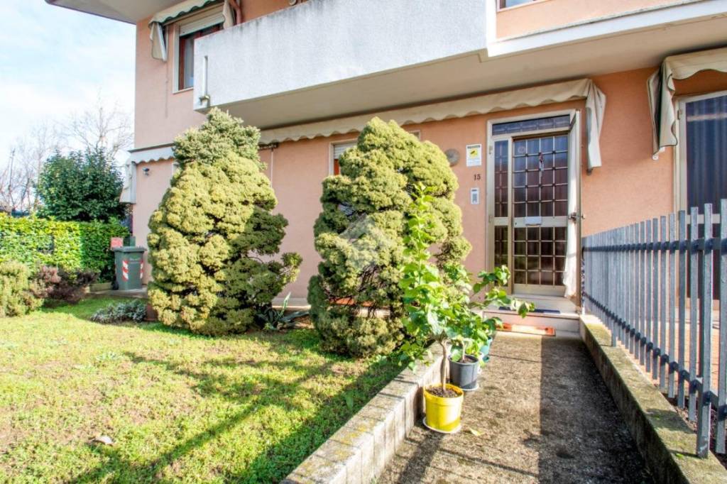 immagine annuncio 14 di 15