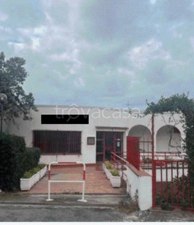 immagine annuncio 10 di 11