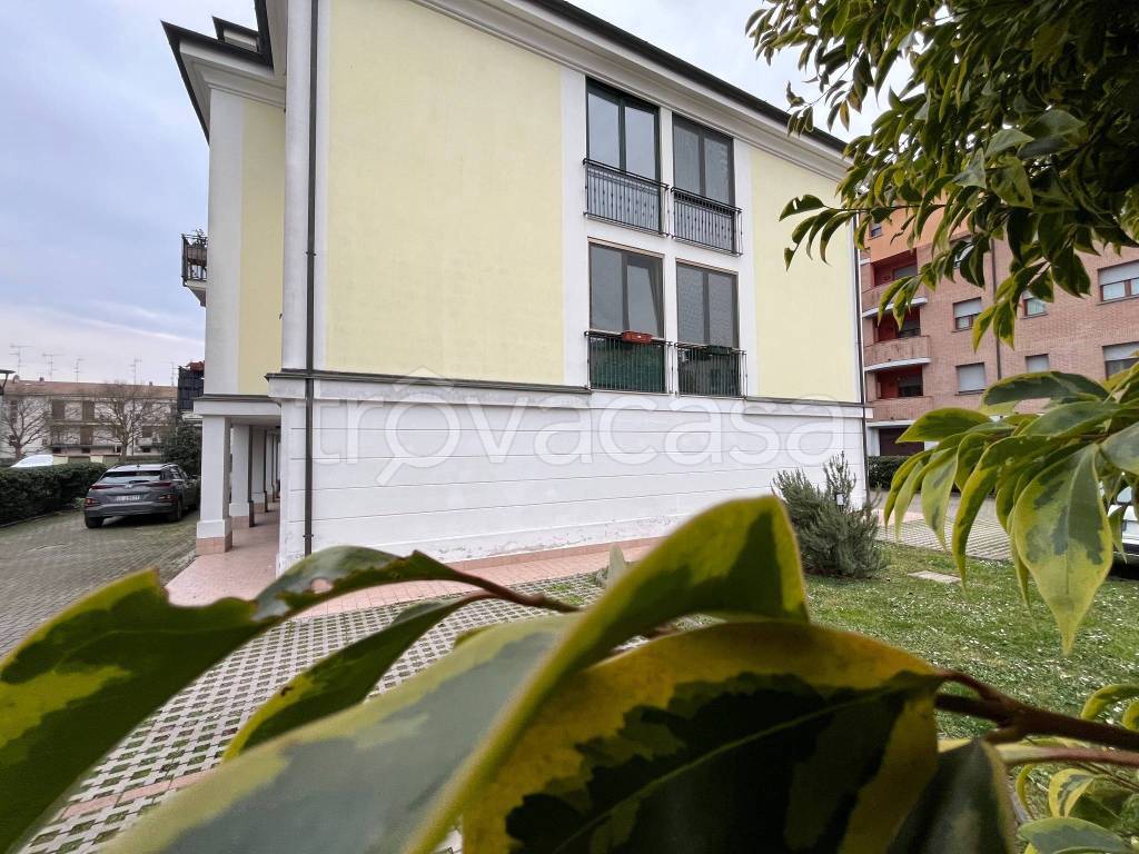 immagine annuncio 7 di 15