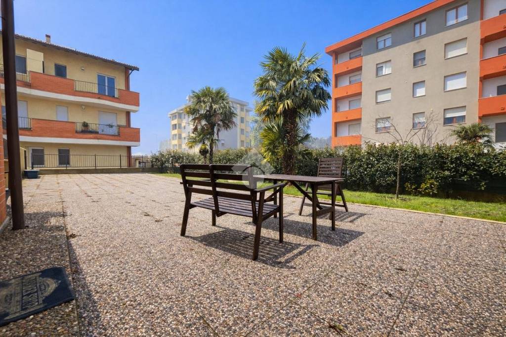 immagine annuncio 6 di 15