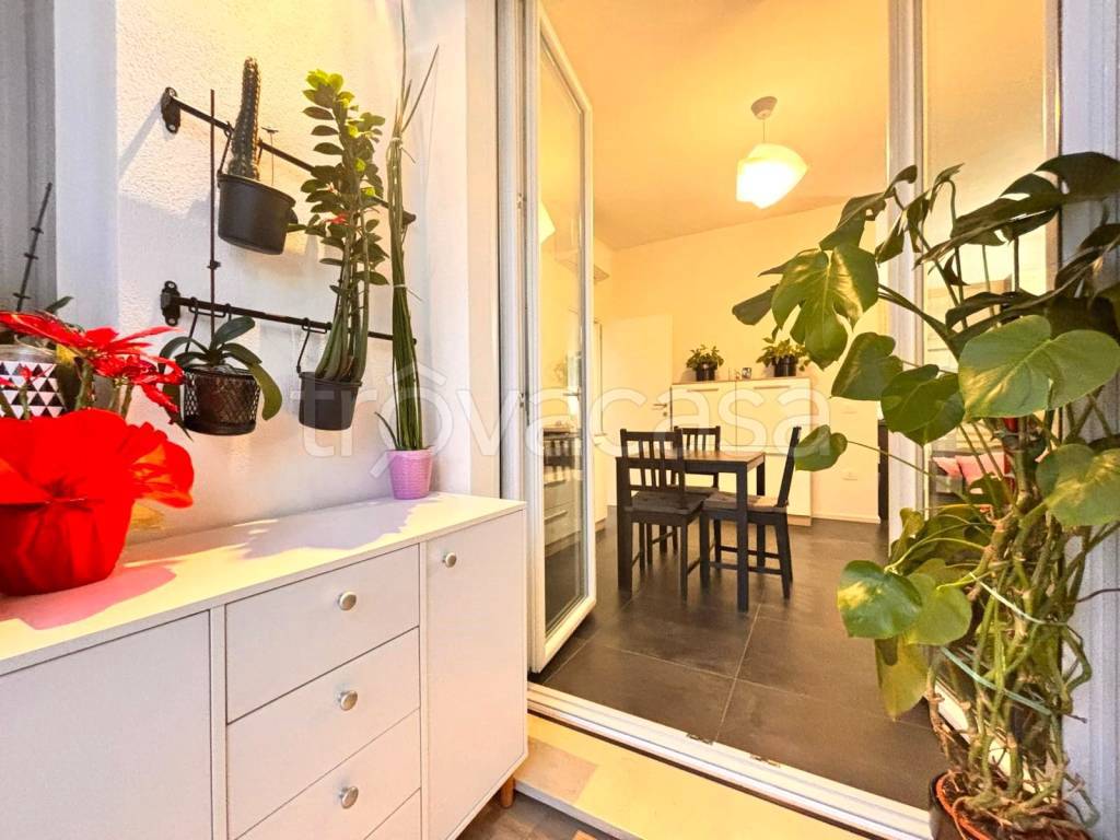 immagine annuncio 4 di 12