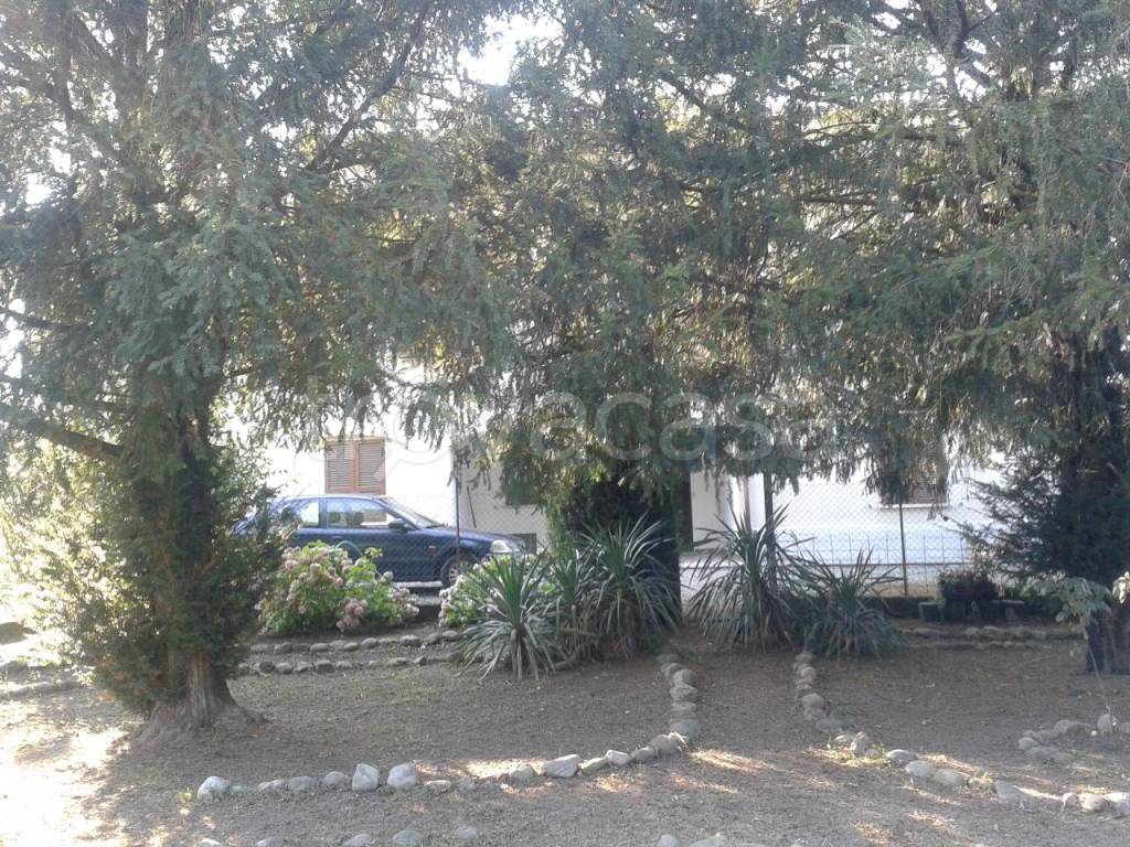 immagine annuncio 1 di 8