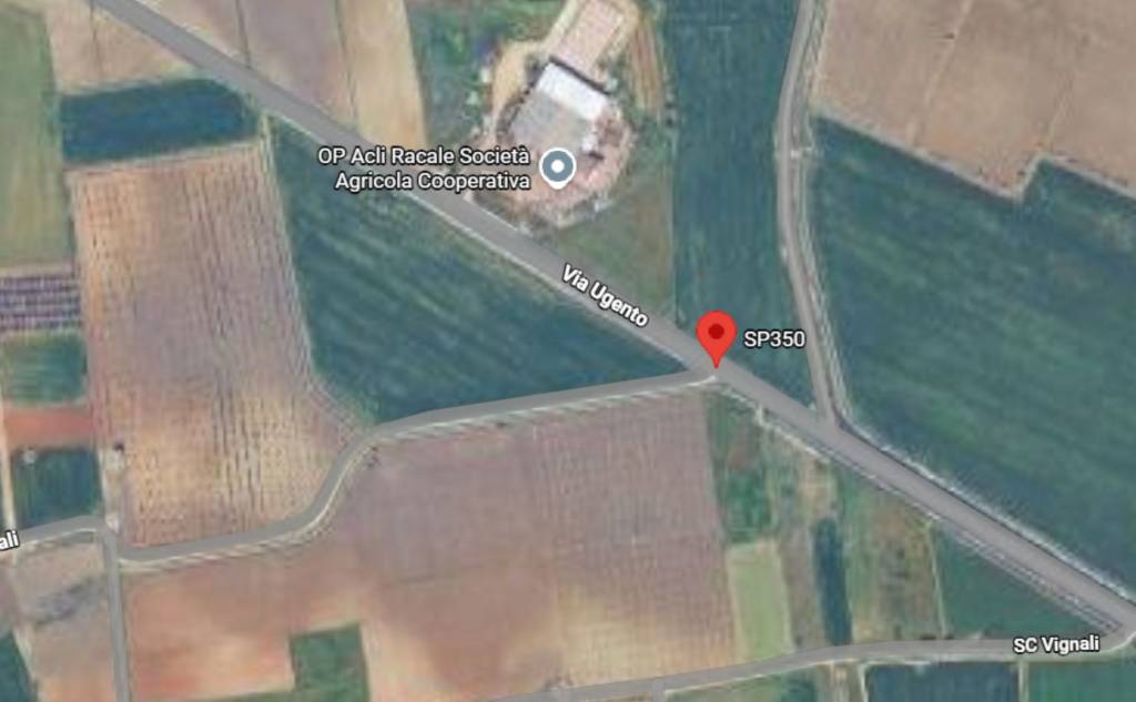 immagine annuncio 10 di 11