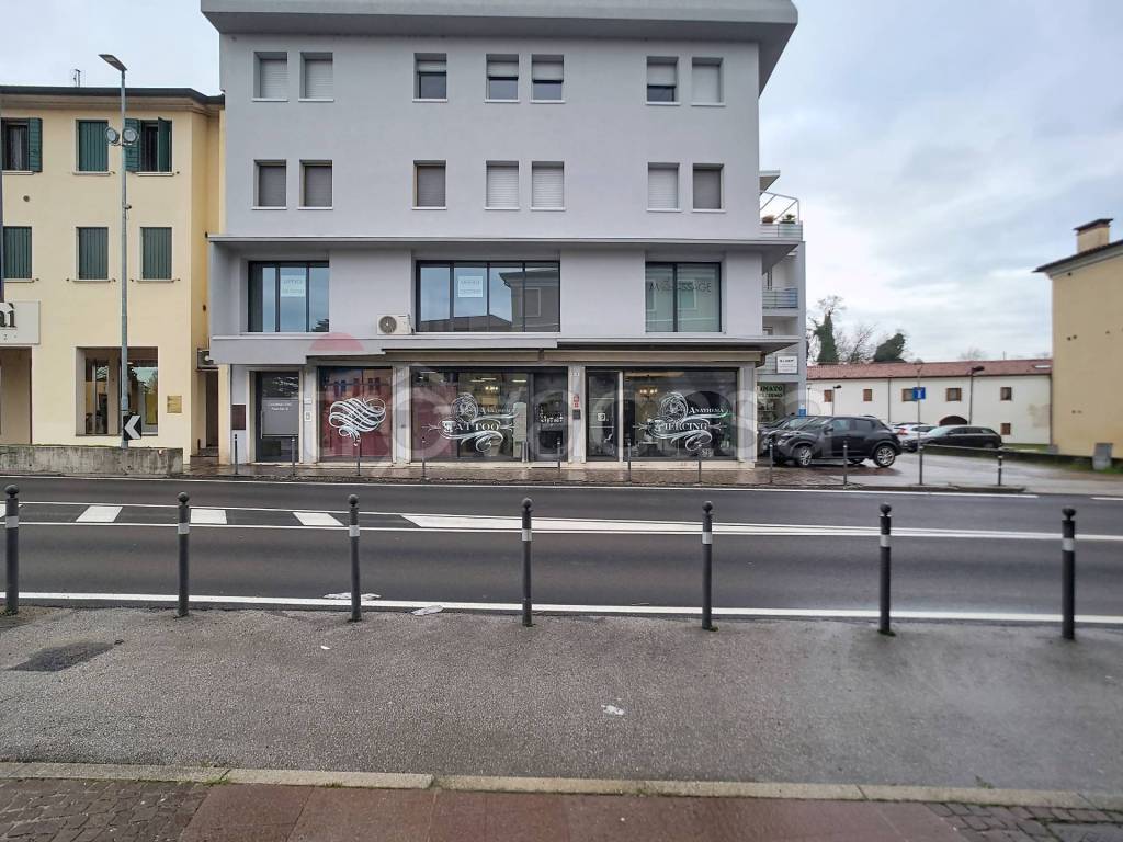 immagine annuncio 2 di 12