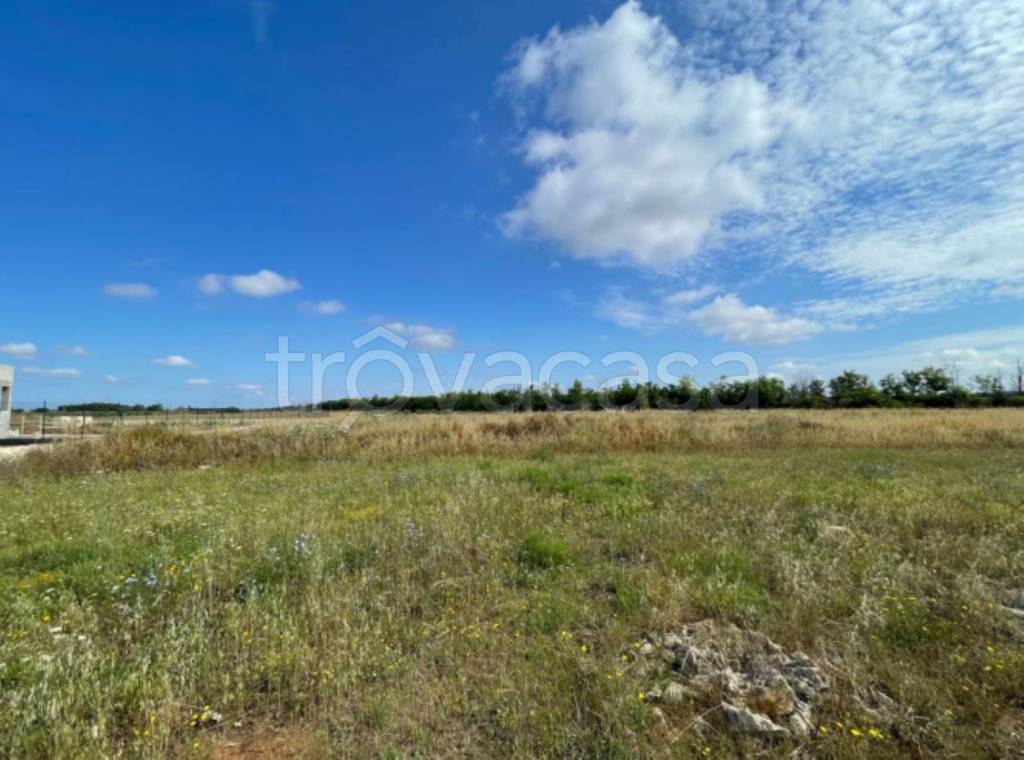 immagine annuncio 7 di 11