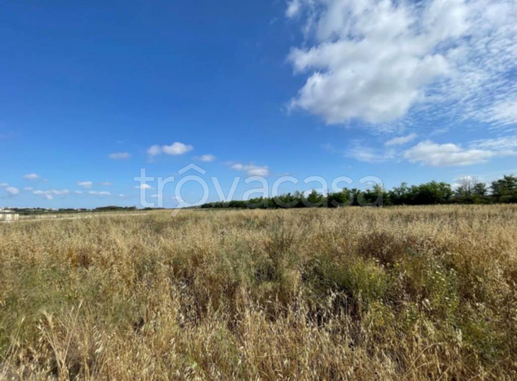 immagine annuncio 8 di 11