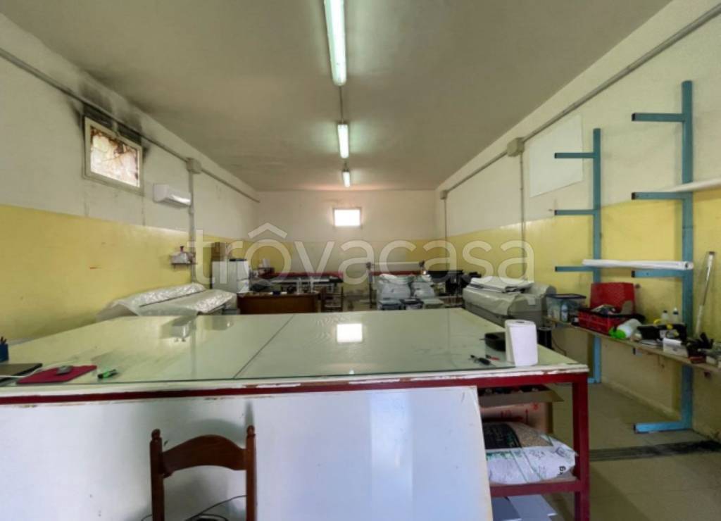 immagine annuncio 6 di 11