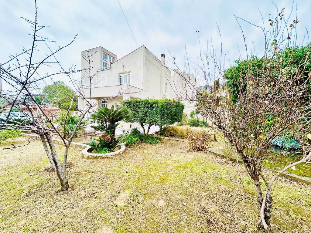 immagine annuncio 5 di 12