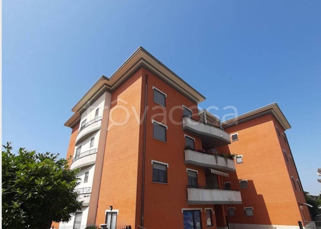 immagine annuncio 7 di 10