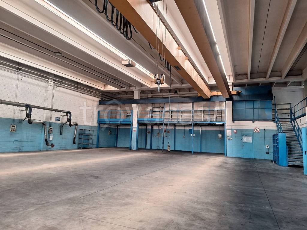 immagine annuncio 8 di 15