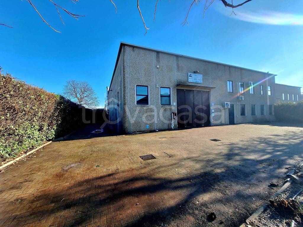 immagine annuncio 9 di 15