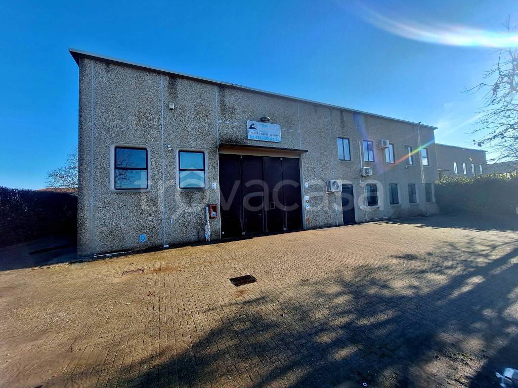 immagine annuncio 14 di 15