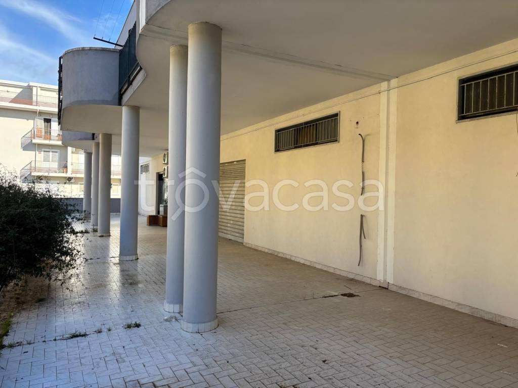 immagine annuncio 9 di 11